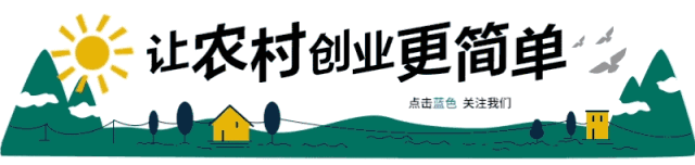 农村电子商务发展_乡村振兴战略_农产品上行难点