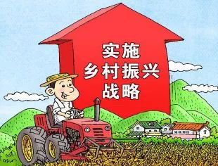 农产品上行难点_农村电子商务发展_乡村振兴战略