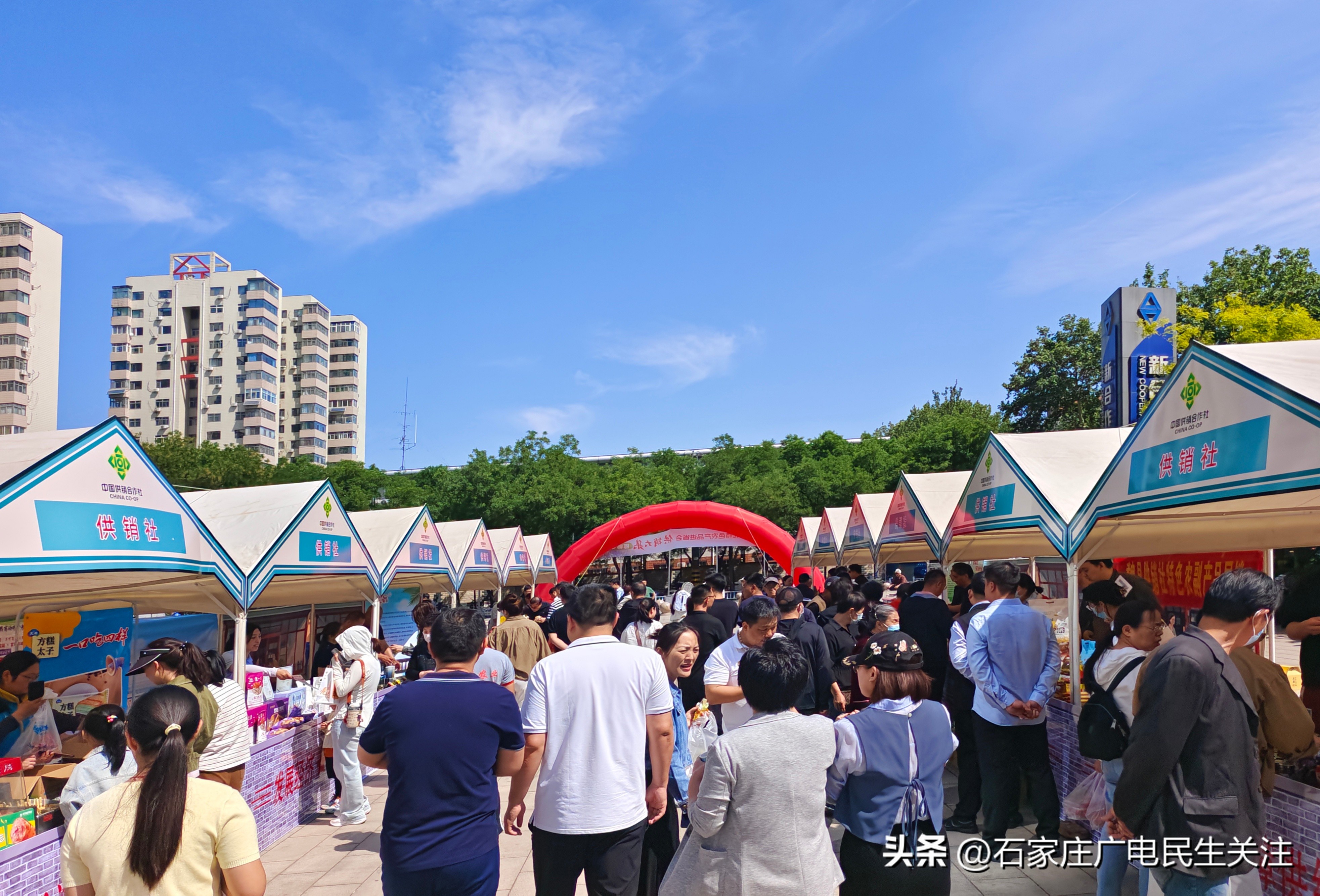 供销大集邯郸专场_河北特色农产品进省会_中国供销农产品批发市场控股有限公司