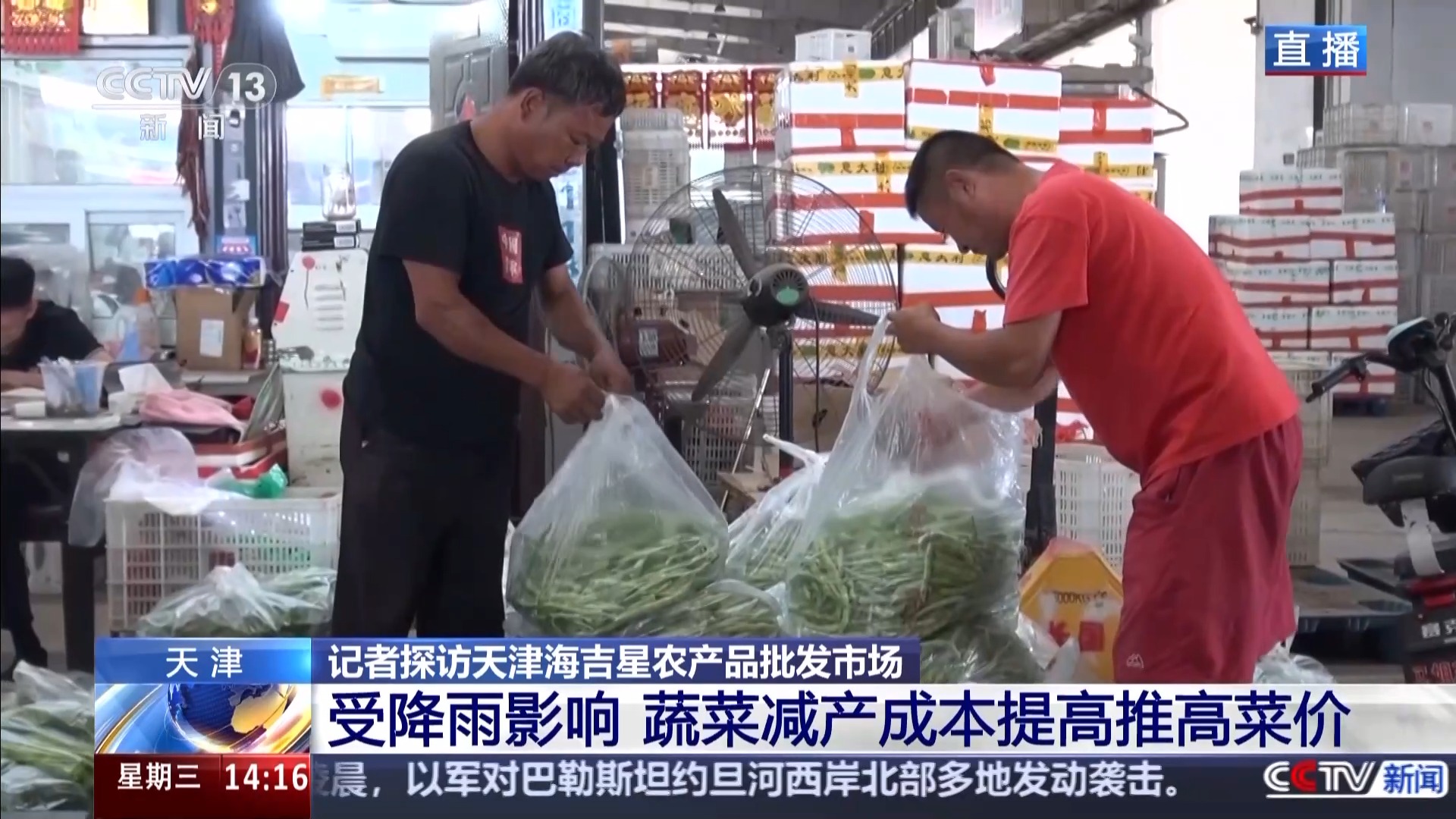 天津海吉星农产品批发市场_蔬菜批发网 最大的线上农产品_蔬菜市场价格变化