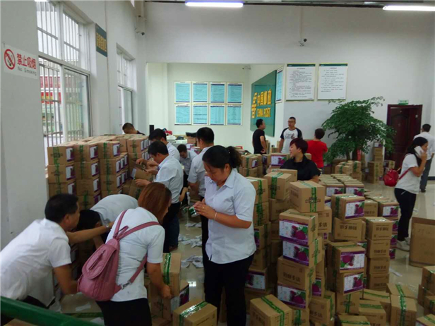 印江的特色农产品_梵净山紫薯电商平台_印江邮政紫薯销售