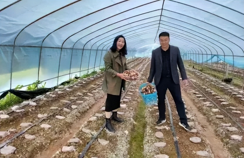 印江自治县茶叶产业振兴_湄坨村茶叶加工厂_印江的特色农产品