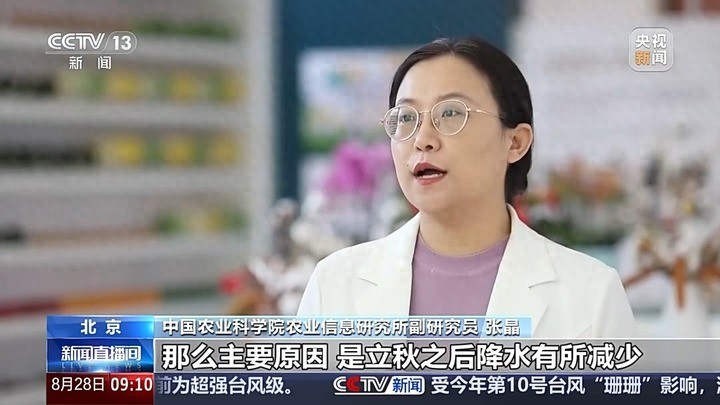 蔬菜价格上涨原因_蔬菜批发网 最大的线上农产品_立秋后蔬菜价格走势