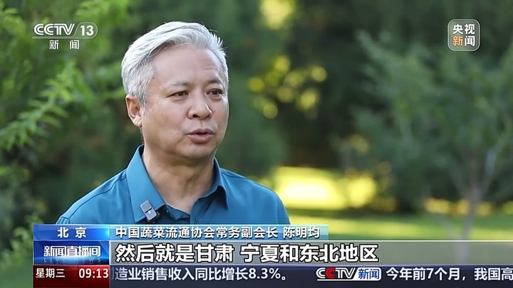立秋后蔬菜价格走势_蔬菜价格上涨原因_蔬菜批发网 最大的线上农产品