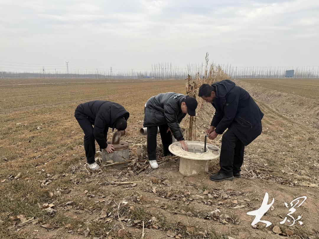 农业社会化服务模式_山东省供销社农产品有限公司_土地股份合作全程托管