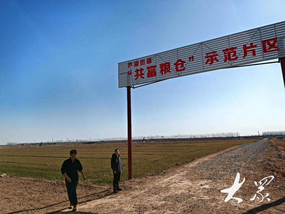 山东省供销社农产品有限公司_土地股份合作全程托管_农业社会化服务模式