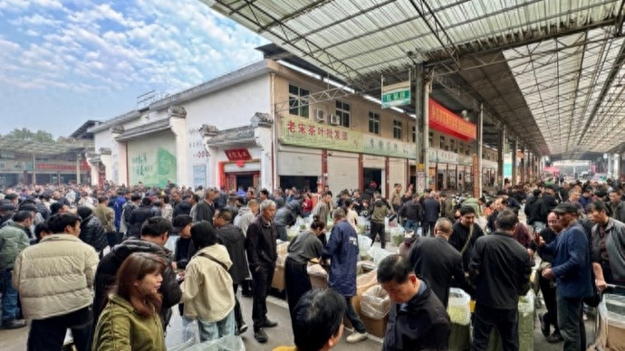 松阳茶叶市场_茶叶 食用农产品_浙南茶叶电商