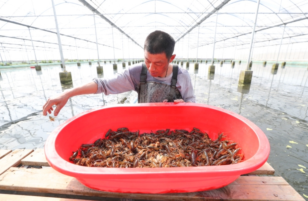 淮安农产品信息_淮扬菜烹饪技艺传承_淮安美食之都