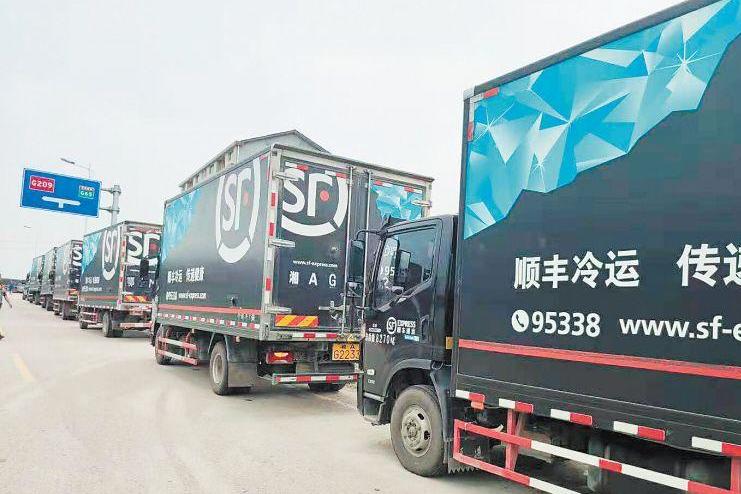 农产品冷链物流小结_农产品冷链物流影响因素_冷链物流政策法规缺失
