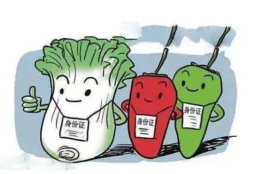 初级农产品范围__ 农业农村部食用农产品法律界定 