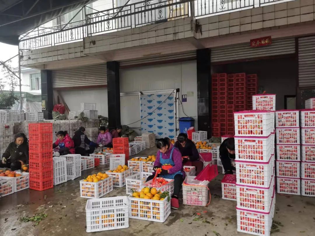 农产品冷链物流小结_生鲜农产品仓储保鲜设施建设_农产品产地冷链仓储建设