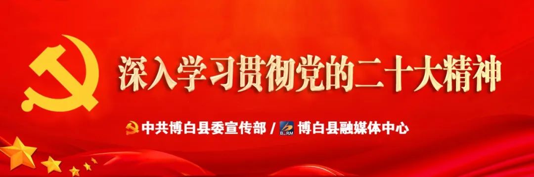 网络达人拍摄博白空心菜_特色农产品网络营销_博白空心菜直播推广