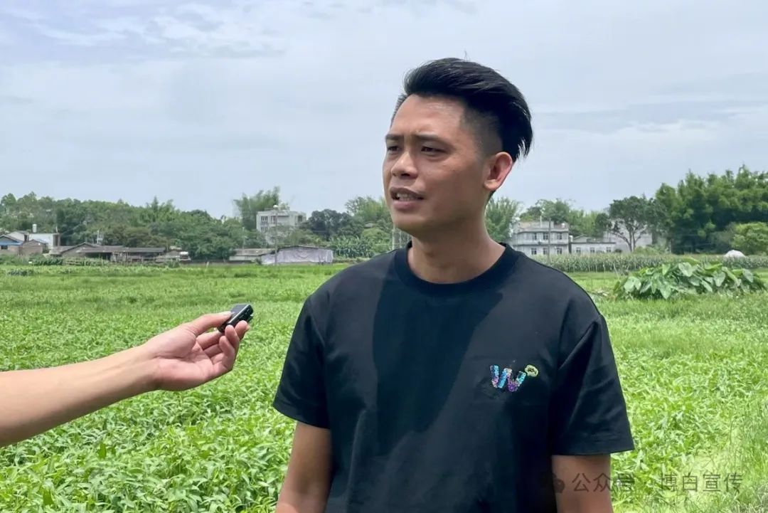 网络达人拍摄博白空心菜_特色农产品网络营销_博白空心菜直播推广
