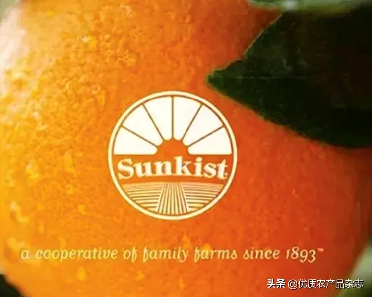 坚果树洞式包装_农产品包装设计_农产品包装方法