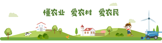 农产品质量检验_ 广东省农产品质量安全检测技能竞赛 _