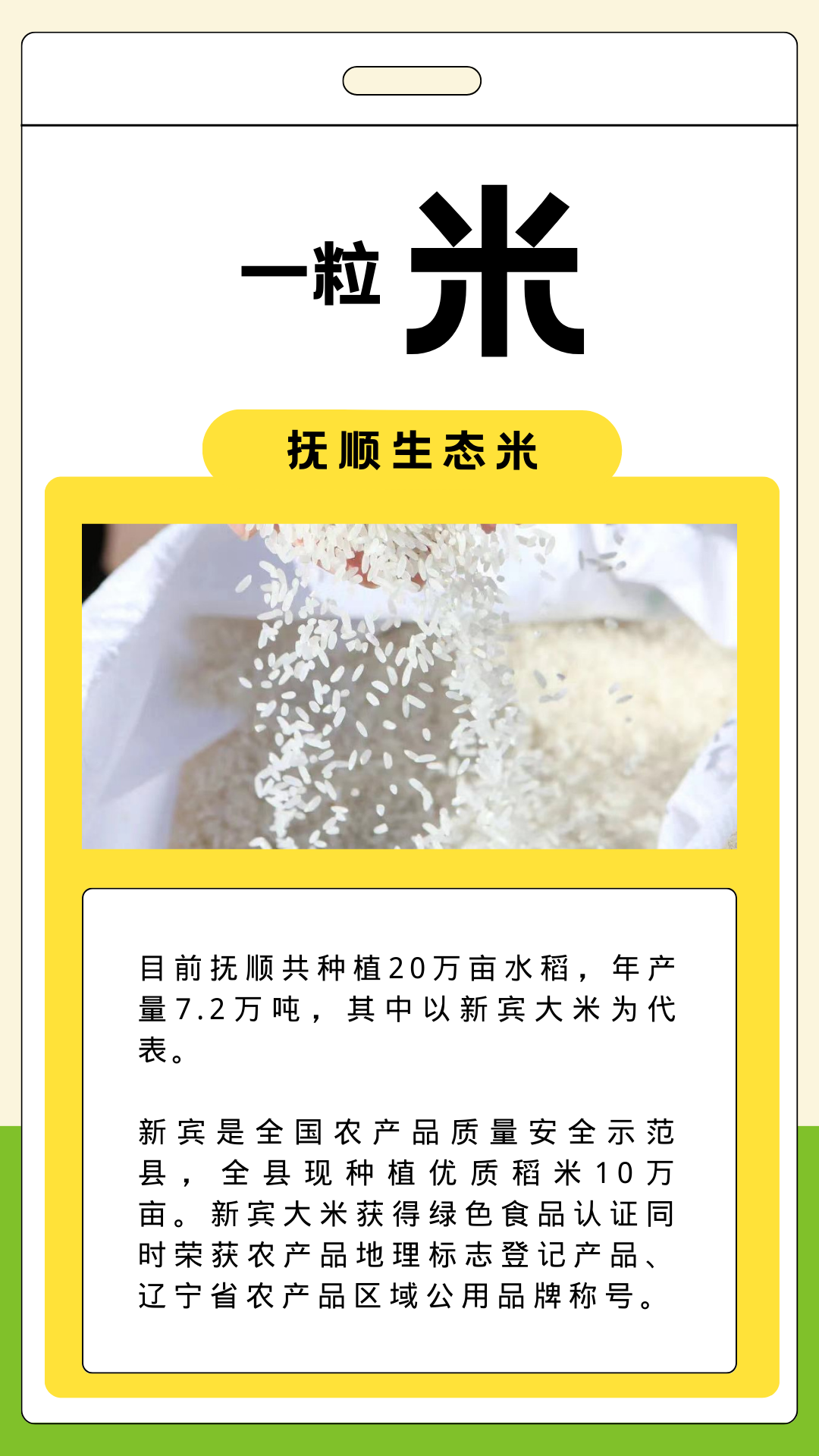 抚顺特色农产品_辽东绿色屏障_什么特色农产品