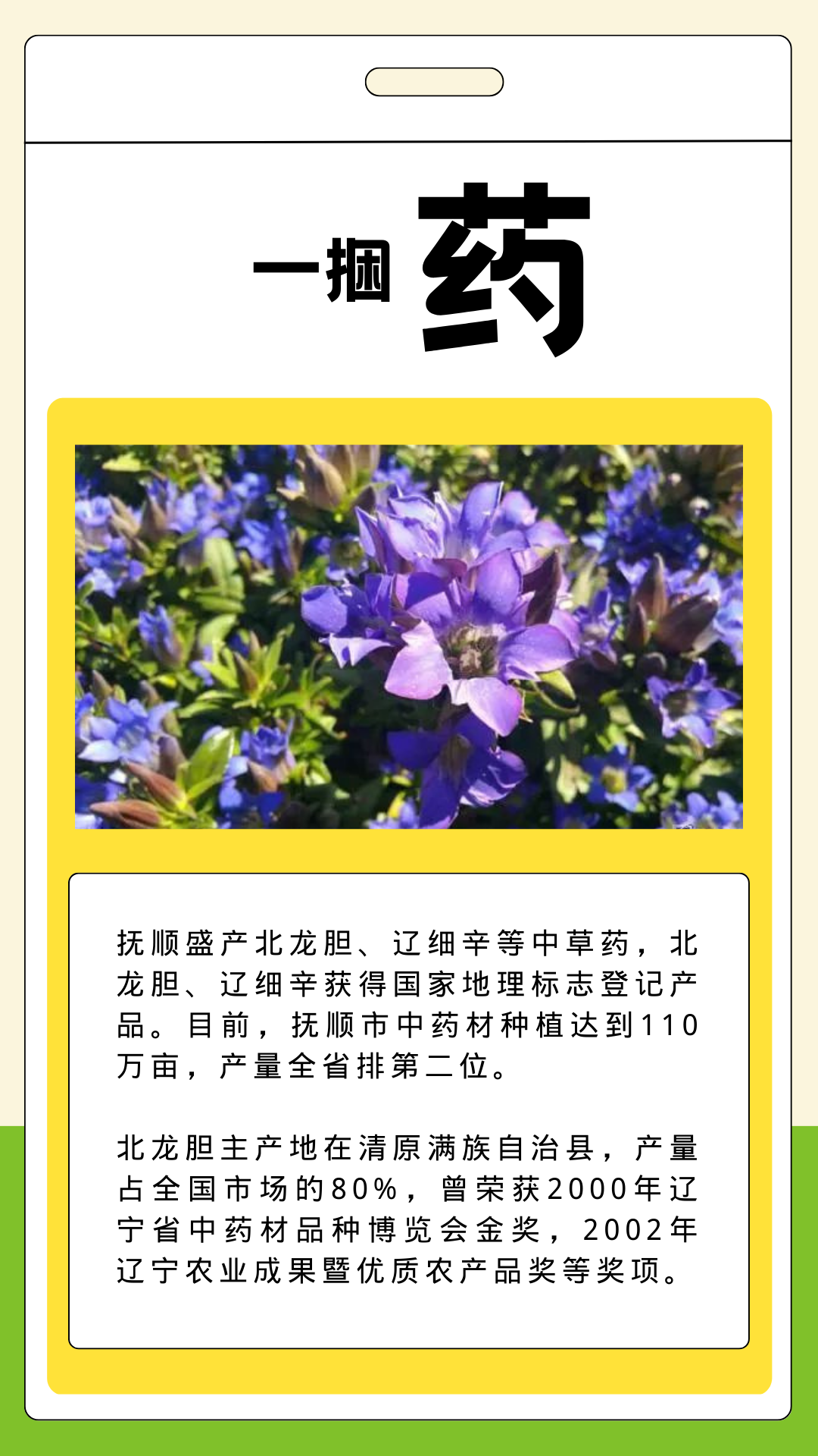 什么特色农产品_辽东绿色屏障_抚顺特色农产品