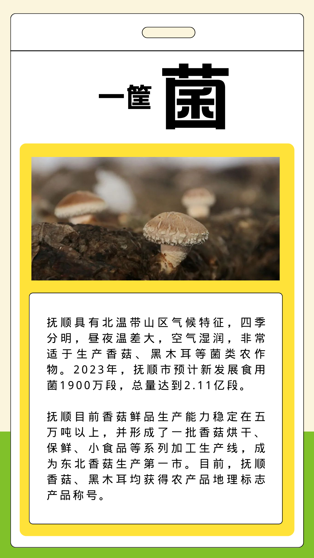 辽东绿色屏障_抚顺特色农产品_什么特色农产品