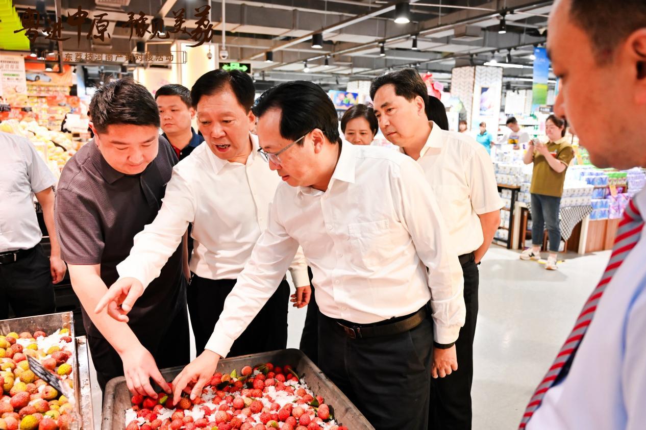 广东荔枝河南市场推广_粤进中原荔枝产销对接活动_广东名牌农产品