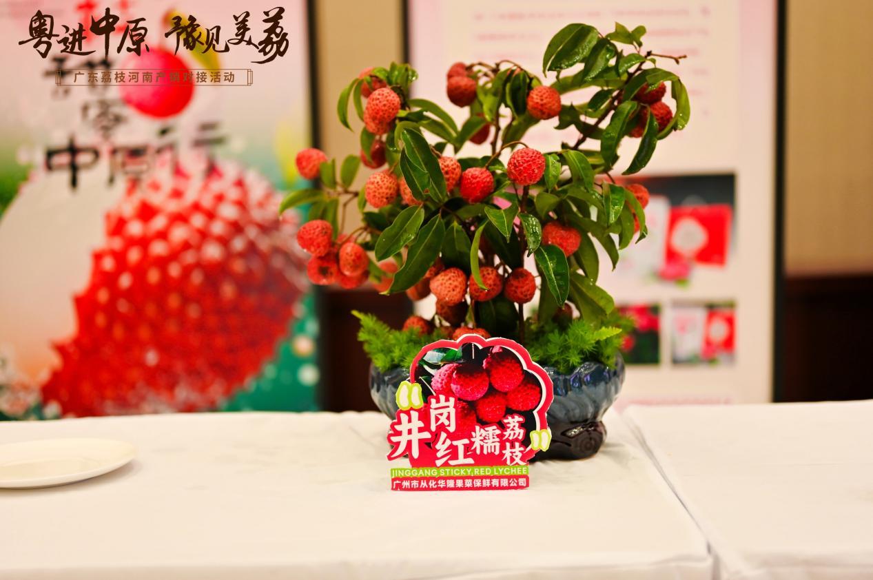 粤进中原荔枝产销对接活动_广东名牌农产品_广东荔枝河南市场推广