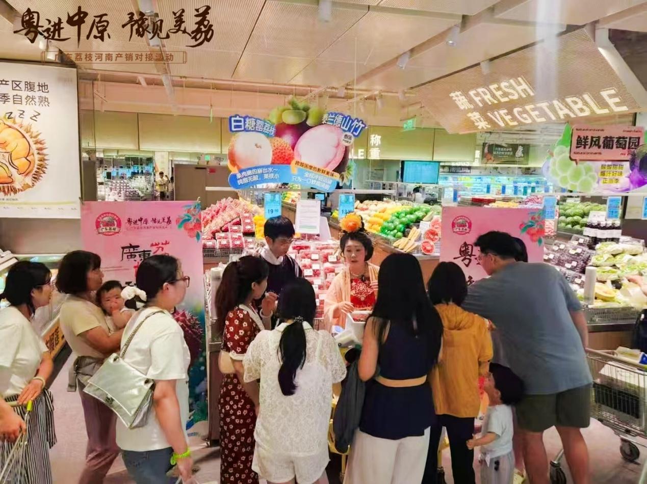 广东荔枝河南市场推广_广东名牌农产品_粤进中原荔枝产销对接活动