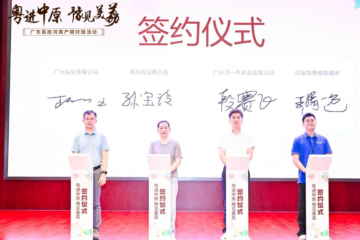 粤进中原荔枝产销对接活动_广东名牌农产品_广东荔枝河南市场推广