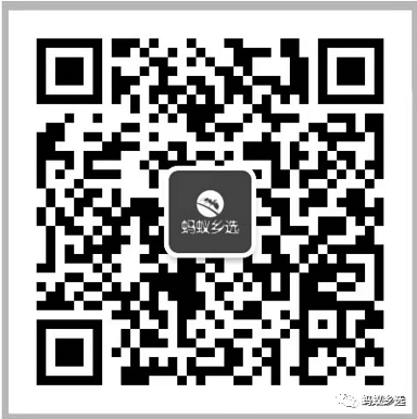 农产品销量直销店_乡村振兴农产品销售痛点_互联网+农业营销模式