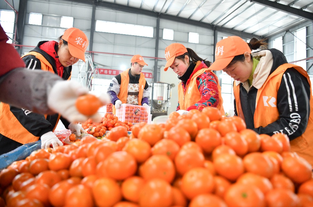 重庆农产品出口增长_城口香菇出口新加坡_重庆特色农产品