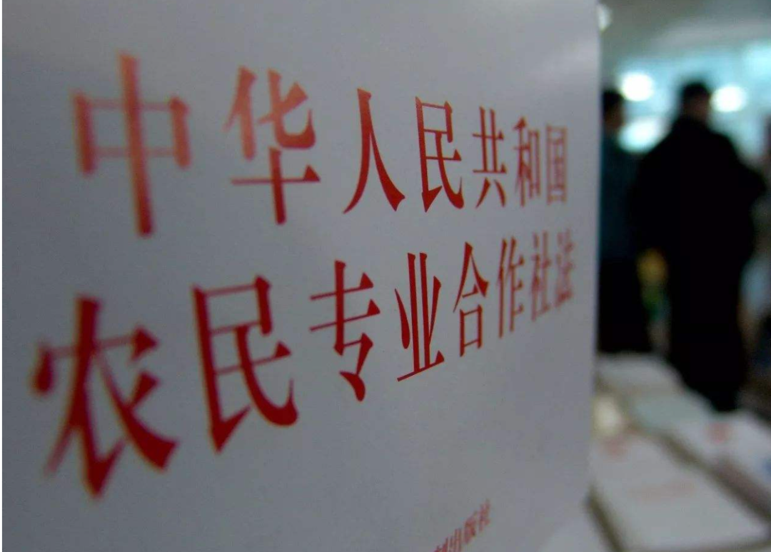 农产品增值税抵扣政策_农产品扣除率最新_农产品进项税额核定扣除方法