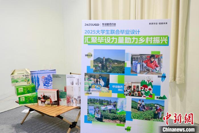 宁海县胡陈洋芋包装设计_毕设助农行动乡村振兴_农产品包装设计