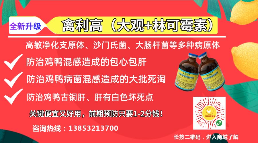 农产品期货都有啥_鸡蛋价格上涨分析_农产品价格走势