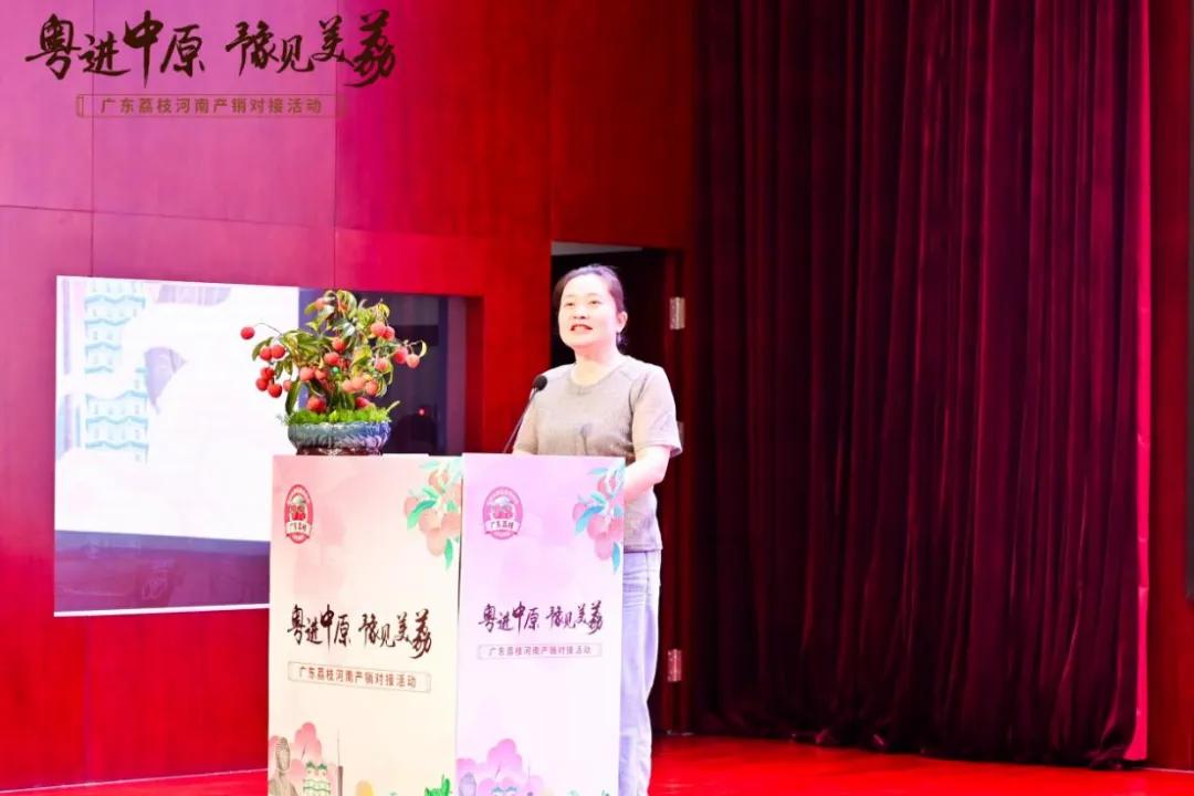 广东农产品排名_广东荔枝河南产销对接活动_粤豫荔枝合作