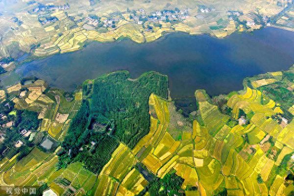溧阳农产品_溧阳乡村民宿发展_溧阳市天目湖镇乡村振兴