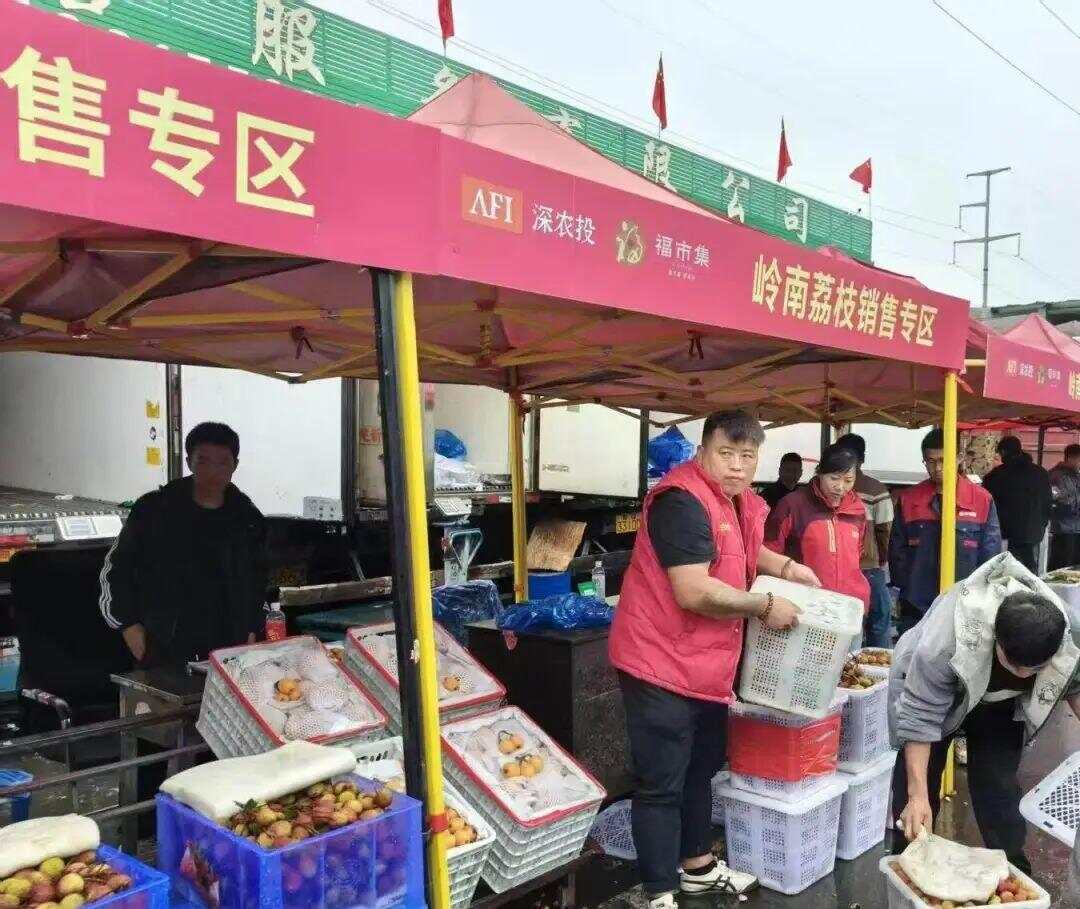 甘肃广东农产品合作_广东农产品排名_广东荔枝兰州热销