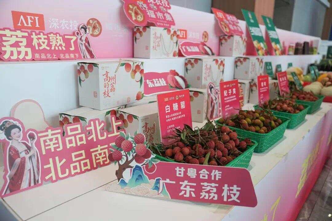 广东农产品排名_甘肃广东农产品合作_广东荔枝兰州热销