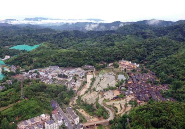 大别山农产品批发市场_河南大别山跨境电商发展_河南大别山革命老区振兴发展行动方案