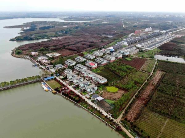 河南大别山革命老区振兴发展行动方案_大别山农产品批发市场_河南大别山跨境电商发展
