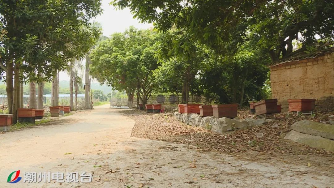 农产品线上线下_英粉村蜂蜜滞销解决方案_樟溪镇英粉村电商扶贫