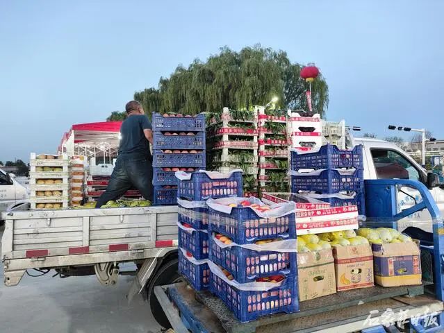 石家庄水果批发市场_大型农产品批发市场_中联农石家庄国际水果物流园