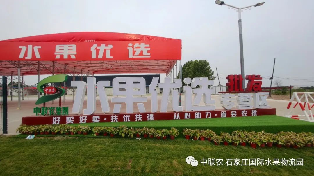 石家庄水果批发市场_大型农产品批发市场_中联农石家庄国际水果物流园