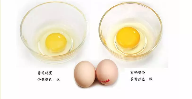 隐性饥饿_富硒农产品标准_功能农业