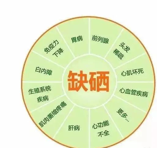 富硒大米与普通大米区别_富硒农产品种植技术_富硒农产品标准