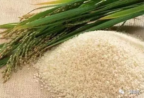 富硒农产品种植技术_富硒大米与普通大米区别_富硒农产品标准
