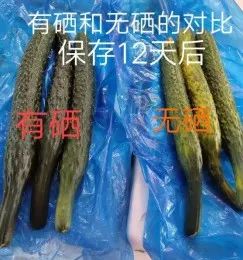 富硒农产品标准_富硒大米与普通大米区别_富硒农产品种植技术