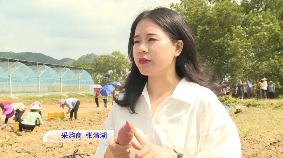 富硒农产品标准_鹤子镇富硒农产品直播推介会_富硒产业兴旺计划