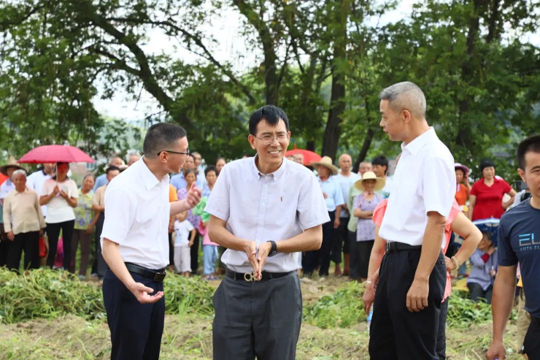 富硒产业兴旺计划_富硒农产品标准_鹤子镇富硒农产品直播推介会