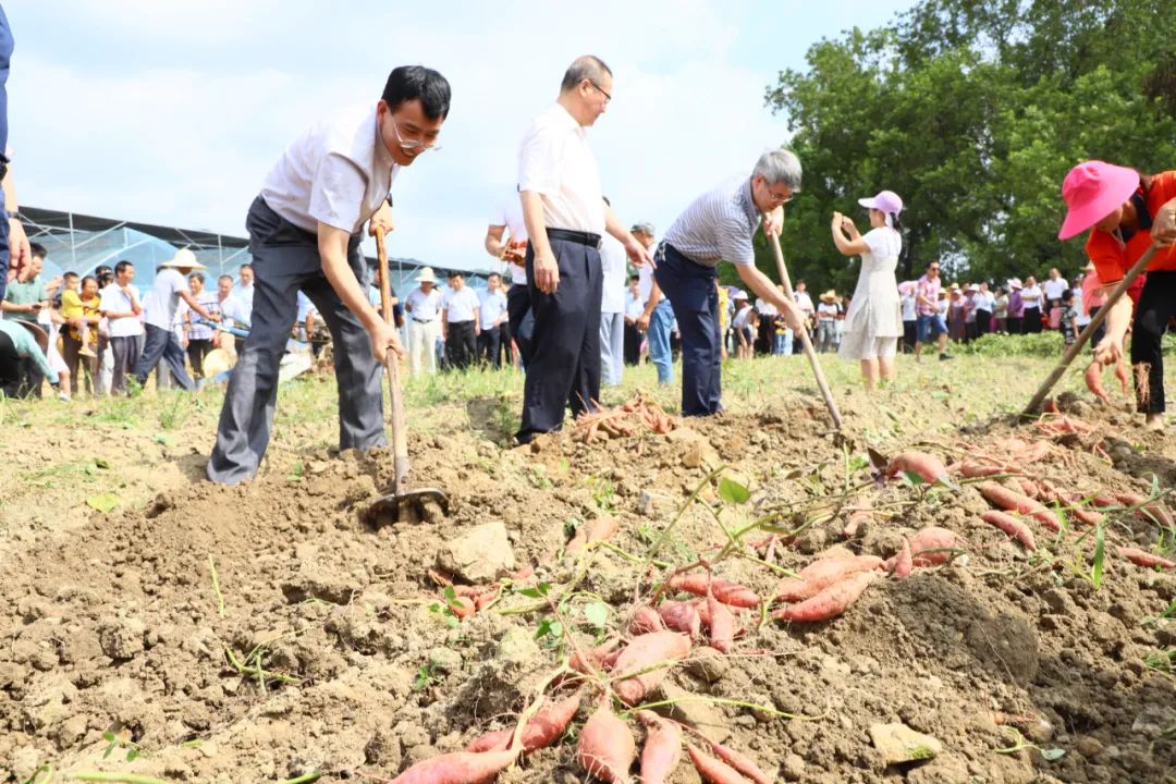 富硒产业兴旺计划_富硒农产品标准_鹤子镇富硒农产品直播推介会