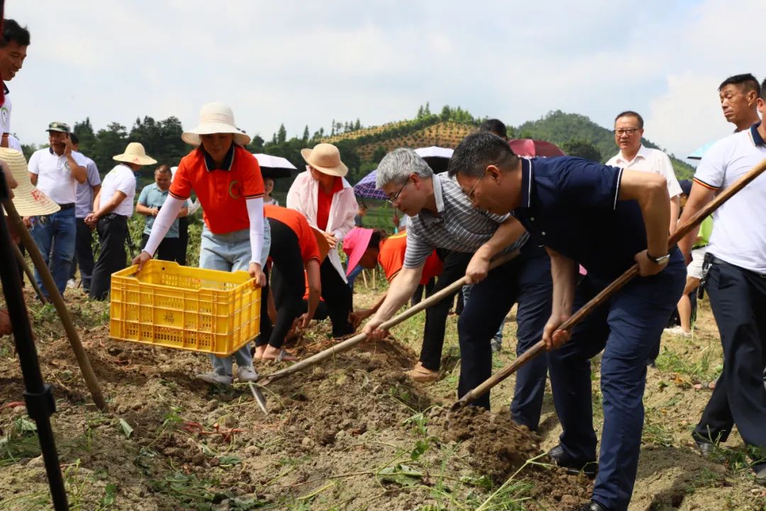富硒农产品标准_富硒产业兴旺计划_鹤子镇富硒农产品直播推介会