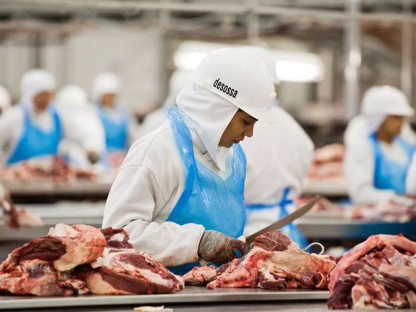 巴西牛肉欧盟进口限制_巴西农产品_巴西农产品欧盟出口