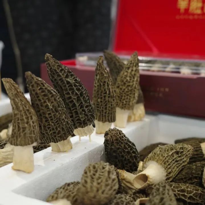 安徽省农产品交易会_中国安徽名优农产品展会 上海_安徽绿色食品展会 上海